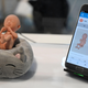 A toy baby fetus on top of a small mouse pillow sitting next to a phone showing a fetal growth info and a bunch of data points.